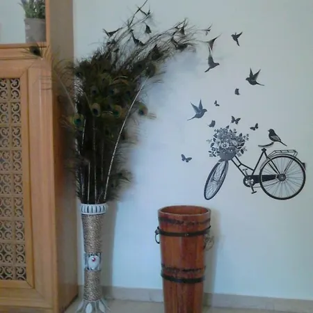 Vasiliki's *